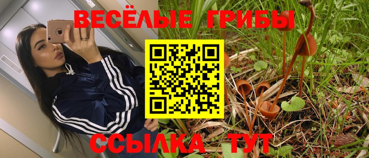 Псилоцибиновые грибы Cubensis Керчь