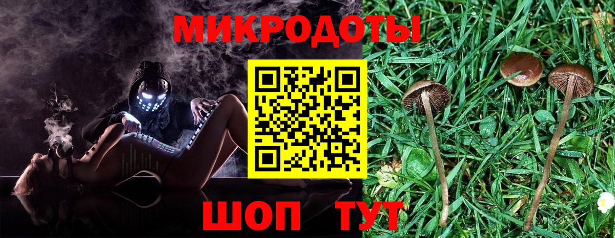 Керчь  Галлюциногенные грибы GOLDEN TEACHER  Псилоцибиновые грибы прущие грибы  Вход с VPN 